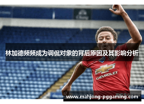 林加德频频成为调侃对象的背后原因及其影响分析