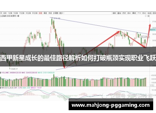 西甲新星成长的最佳路径解析如何打破瓶颈实现职业飞跃