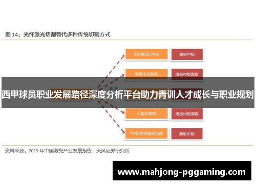 西甲球员职业发展路径深度分析平台助力青训人才成长与职业规划
