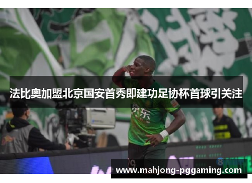 法比奥加盟北京国安首秀即建功足协杯首球引关注 法比奥加盟北京国安首秀即建功足协杯首球引关注