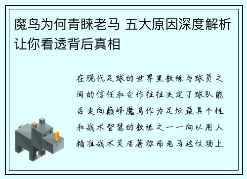 魔鸟为何青睐老马 五大原因深度解析让你看透背后真相