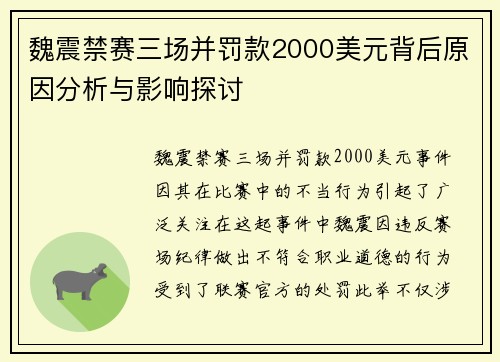 魏震禁赛三场并罚款2000美元背后原因分析与影响探讨