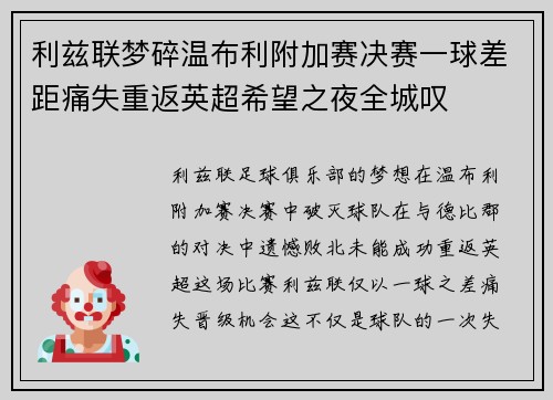 利兹联梦碎温布利附加赛决赛一球差距痛失重返英超希望之夜全城叹